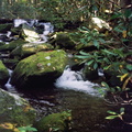 Gabes Mountain Trail